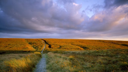 Close view of the Pennine Way path at Standedge on Marsden Moor, West Yorkshire